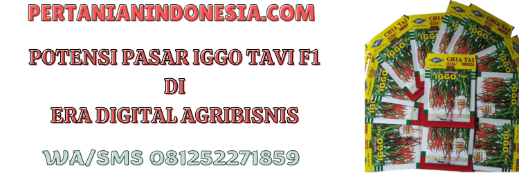 potensi,agribisnis,agrobisnis,cap kapal terbang,bisi,pertanian indonesia